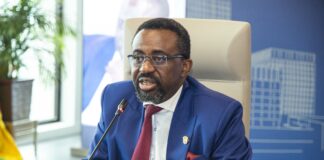 BoG signals shift from fintech expansion to system integration across Africa