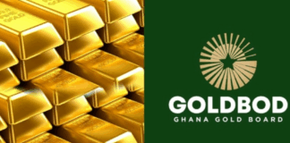 GoldBod Triples Revenue, Cuts Spending and Generates Operational Surplus of GH₵909.8 million for 2025