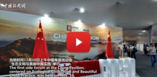 China highlights green achievements at COP30 side session