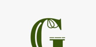 PCF. MARKET Under Greenutss Launches Brand-New Healthy Meal Box Series