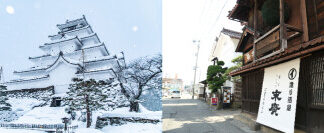 Travel with the JR EAST PASS (Tohoku Area)