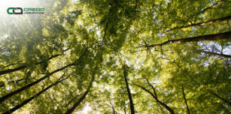 Credo Assurance Earns ESG Certification to Support Sustainability Reporting