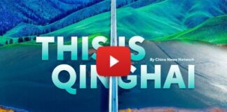 Qinghai Balances Ecological Restoration with Clean Energy Ambitions