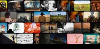 Super Moments in Focus: OPPO Announces Global Winners of the 2025 Photography Awards