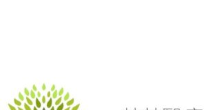SEED Medical Launches “Christmas Gift of Health: Year-End Body Check Festival”