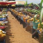 Gallant farmers to be honoured at 41st Farmers’ Day