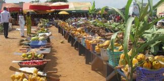 Gallant farmers to be honoured at 41st Farmers’ Day