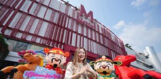 Chinese New Year in Thailand: A National Celebration and a Regional Travel Magnet