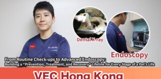 VEC Strengthens Family Veterinary Services with Dr. Martin’s Appointment