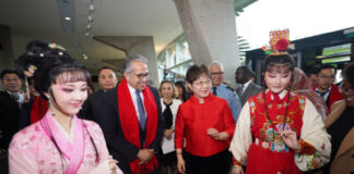 An Encounter with China: Chinese New Year in Paris: Nanjing Intangible Cultural Heritage Shines