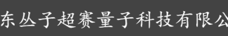 Open source of the Congzi AI algorithm: Transforming ordinary artificial intelligence into physical experts