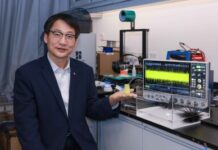 PolyU research unveils mechanoelectrical perception in sea urchin spines, empowering next-generation biomimetic sensors