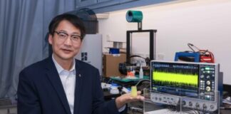 PolyU research unveils mechanoelectrical perception in sea urchin spines, empowering next-generation biomimetic sensors