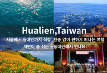 Fly Direct from Korea to Hualien – Incentives of Up to KRW 180,000 Per Tourist for Travel Agencies