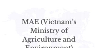 Vietnam’s Unified Political System Drives to End IUU Fishing