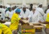 President Mahama inaugurates Olam Agri pasta manufacturing facility