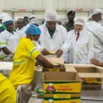 President Mahama inaugurates Olam Agri pasta manufacturing facility