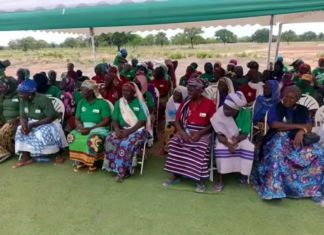 Empowering Women Farmers: Ghana’s Northern Belt Embraces Year-Round Agriculture