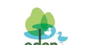 Eden at Botanica CT: At the forefront of Malaysia’s Shift to Independent and Active Senior Living