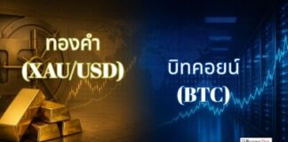 BrokersThai Data: Local Traders Compare Gold and Crypto Side by Side as Markets Shift