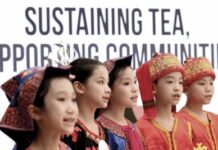 Rainforest Tea Culture from Wuzhishan, China, Debuts in Rome