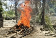 NAIMOS intensifies ‘galamsey’ fight nationwide
