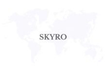 Fintech platform Skyro more than doubles loan disbursements in the Philippines in 2025