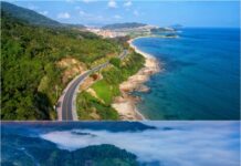 China’s Hainan Creates “Dual-Loop” Paradise for Self-Driving Tours: Facilitated Services Unlock New Cultural Tourism Experiences