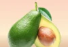 Avocado: Ghana’s next €2 billion export win