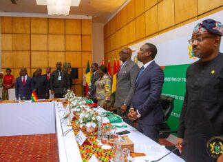 West Africa Unites to End the Export of Raw Minerals