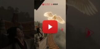 The Changsha Jiandu Museum launches its Digital Exhibition Hall, Allowing Visitors from All Over the World to Adopt Digital Collections with One Click