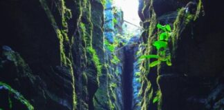 Enshi Suobuya Stone Forest in China Launches Rich Cultural Experiences to Welcome Southeast Asian Tourists