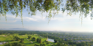 Forest City SFZ Releases Updated Tourism Data As Johor Bahru–Singapore RTS Link Nears Completion