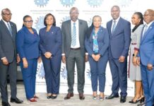 National Investment Bank bounces to profit path