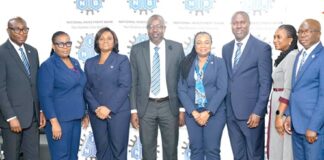 National Investment Bank bounces to profit path
