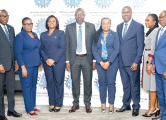 National Investment Bank bounces to profit path