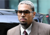 Chris Brown ordered to pay housekeeper $13m after dog attack