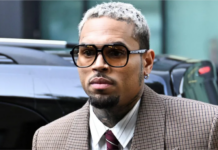 Chris Brown ordered to pay housekeeper $13m after dog attack