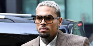 Chris Brown ordered to pay housekeeper $13m after dog attack