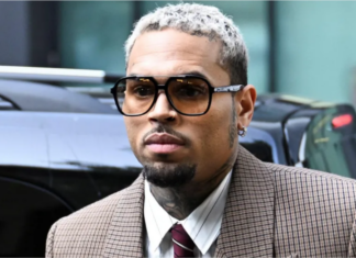 Chris Brown ordered to pay housekeeper $13m after dog attack