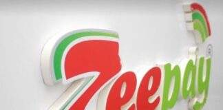 Regulatory Fallout: Bank of Ghana Pulls the Plug on Zeepay