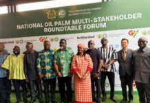Government targets 100,000 hectares of new oil palm plantations to reset industry