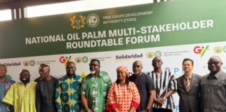 Government targets 100,000 hectares of new oil palm plantations to reset industry