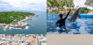 Photo Feature: Global Media Explore Hainan Free Trade Port, Unlocking the New Vitality of the “Ocean Economy”