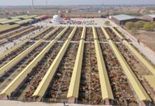 Hinggan League Agricultural, Cultural and Tourism Consumption Carnival Opens in Beijing