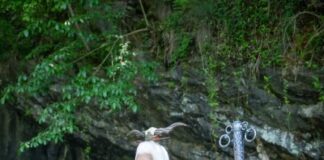 Tonglu Enhances Regional Tourism Strategy Through Immersive Experiences and Infrastructure Upgrades