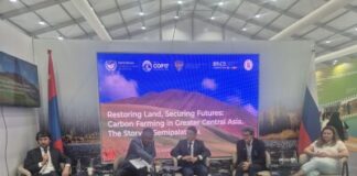Pokrovsky Carbon Polygon Ready to Transfer Technologies to Mongolia