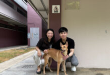 V Aesthetics Holdings Commits S$400,000 to Support Dogs in SOSD’s Care
