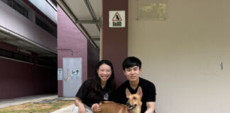 V Aesthetics Holdings Commits S$400,000 to Support Dogs in SOSD’s Care