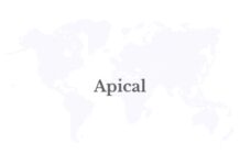 Apical Provides Free Health Screenings and Treatment for Lubuk Gaung Residents